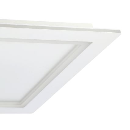 Eglo - Iluminação de teto LED RGBW com regulação LED/35,5W/230V