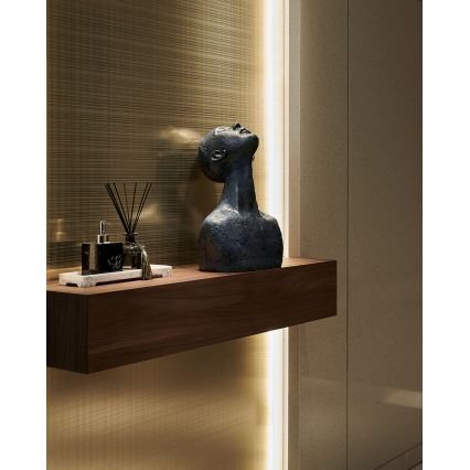 Eglo - Tira LED com regulação 2m LED/13,2W/24/230V 2700-6500K + comando