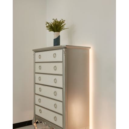 Eglo - Tira LED com regulação 8m COB STRIPE LED/52,8W/24/230V 2700-6500K + comando