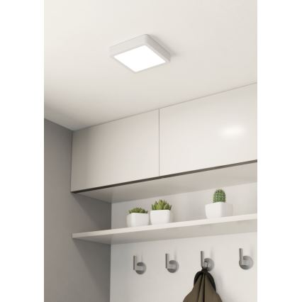 Eglo - Iluminação de teto LED com regulação LED/11W/230V branco