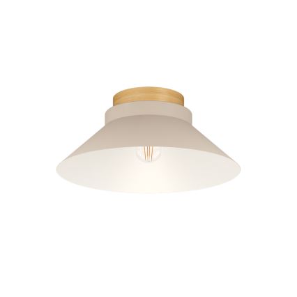 Eglo - Iluminação de teto 1xE27/40W/230V