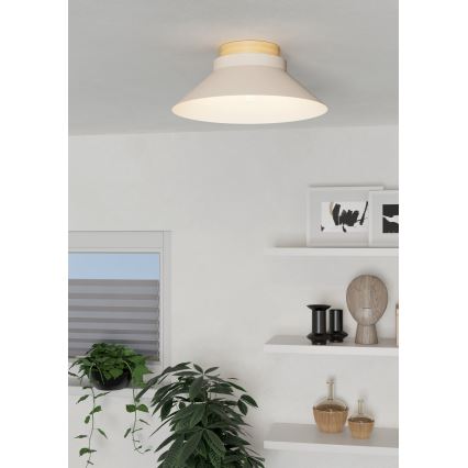 Eglo - Iluminação de teto 1xE27/40W/230V