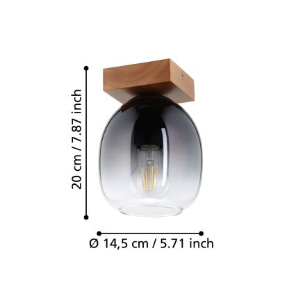 Eglo - Iluminação de teto 1xE27/40W/230V