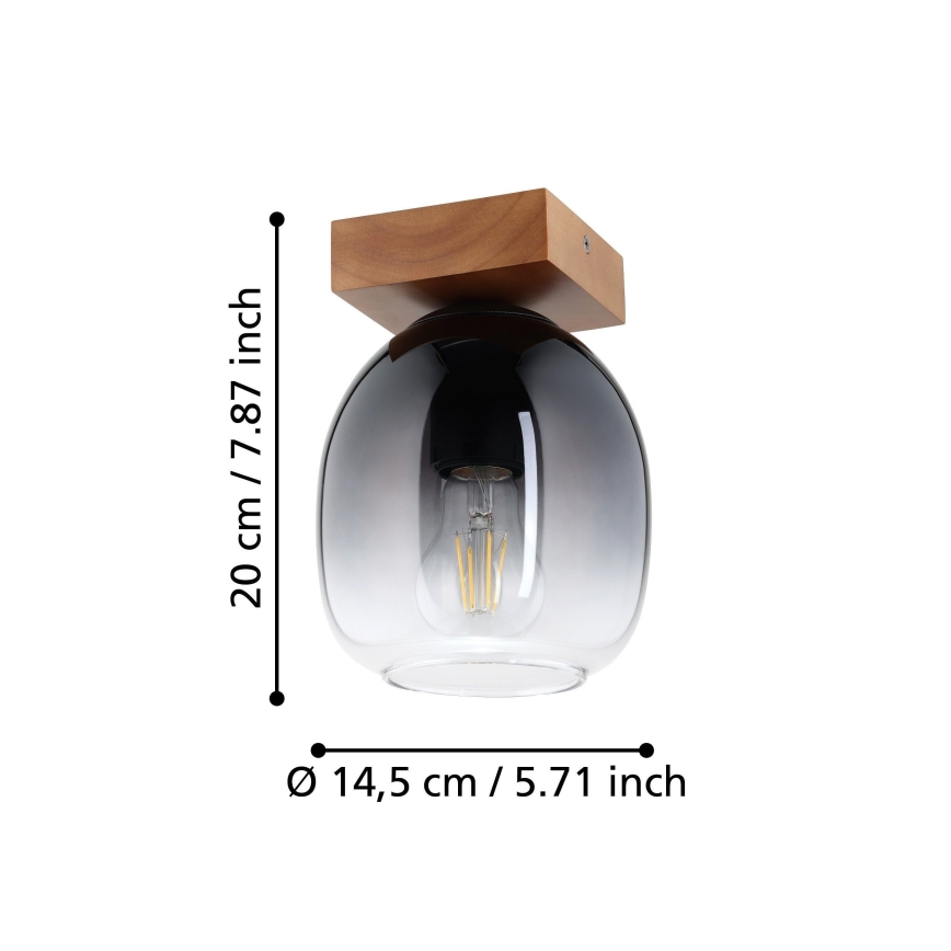 Eglo - Iluminação de teto 1xE27/40W/230V