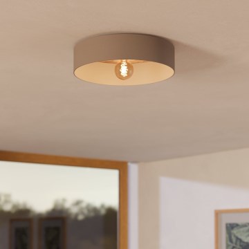 Eglo 900838 - Iluminação de teto DUAIA 1xE27/40W/230V castanho