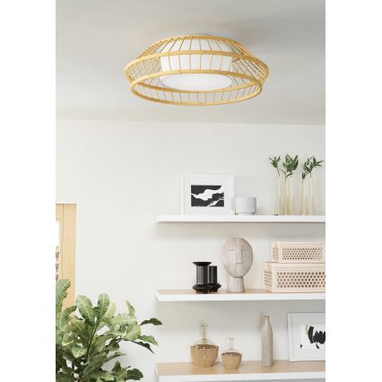 Eglo - Iluminação de teto LED RGBW com regulação LED/22W/230V 2700-6500K