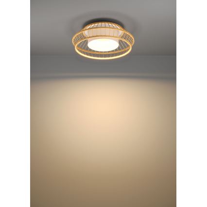 Eglo - Iluminação de teto LED RGBW com regulação LED/22W/230V 2700-6500K