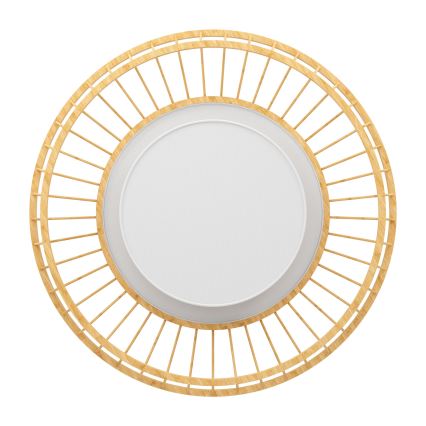 Eglo - Iluminação de teto LED RGBW com regulação LED/22W/230V 2700-6500K