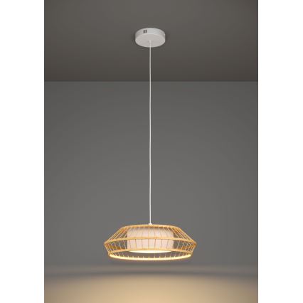 Eglo - Candeeiro suspenso LED RGBW com regulação LED/22W/230V 2700-6500K