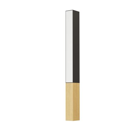 Eglo - Iluminação de parede LED LED/12W/230V