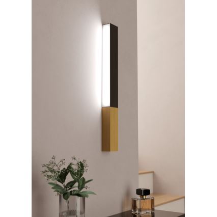 Eglo - Iluminação de parede LED LED/12W/230V