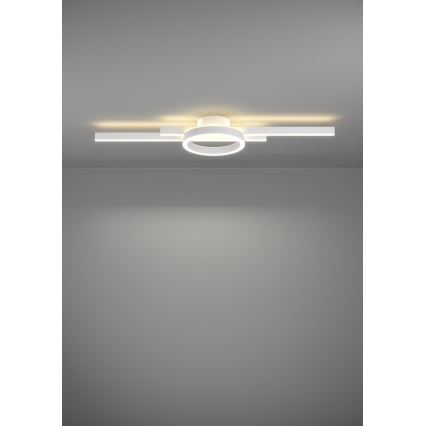 Eglo - Iluminação de teto RGBW com regulação LED/23,5W/230V 2700-6500K branco + controlo remoto