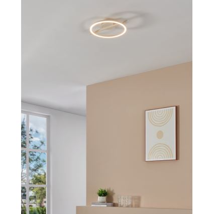 Eglo - Iluminação de teto LED RGBW com regulação LED/17W/230V 2700-6500K branco + comando