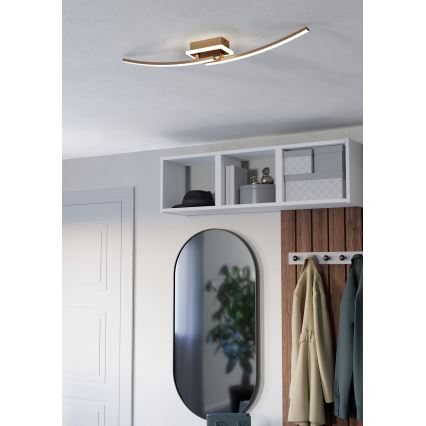 Eglo - Iluminação de teto LED LED/12W/230V 4000K cobre