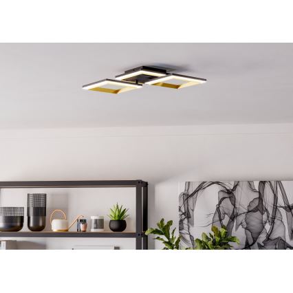 Eglo - Iluminação de teto LED com regulação LED/20W/230V 4000K preto/dourado