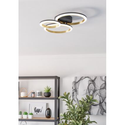 Eglo - Iluminação de teto LED com regulação LED/20W/230V 4000K preto/dourado