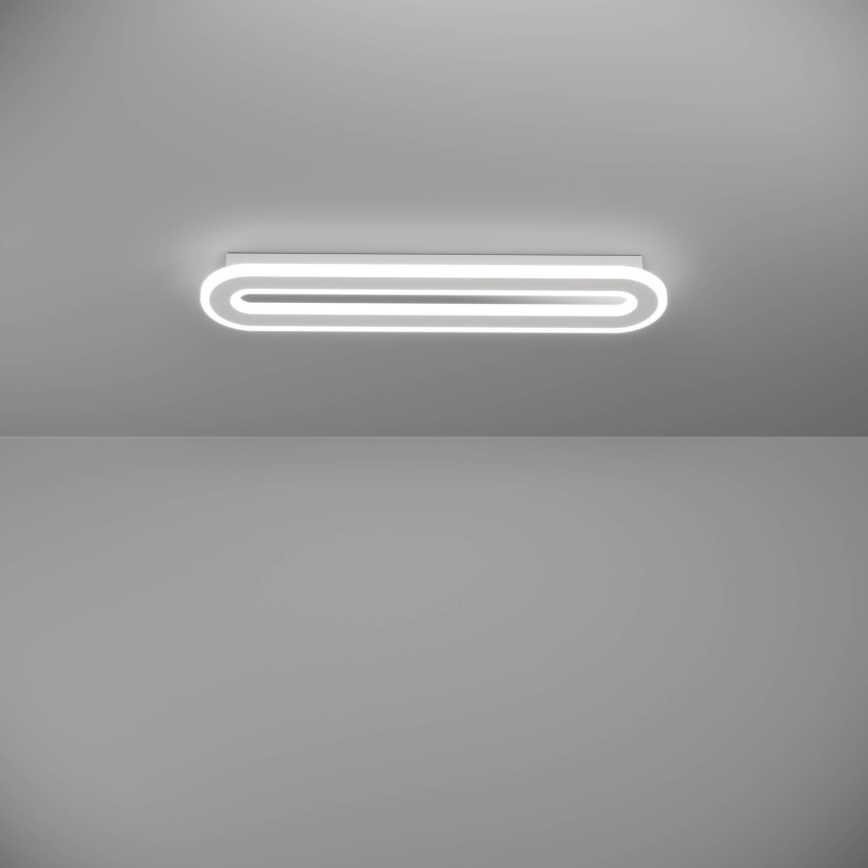 Eglo - Iluminação de teto LED com regulação LED/20W/230V 2700-6500K branco + comando