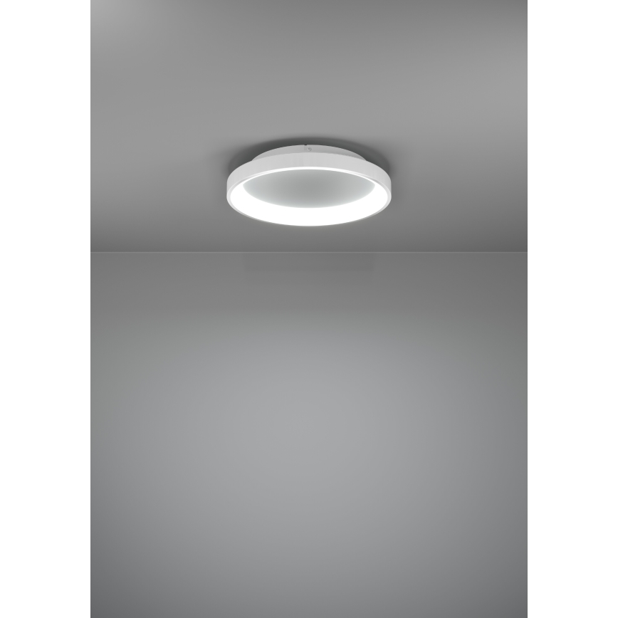 Eglo - Iluminação de teto LED com regulação LED/12W/230V 2700-6500K branco + comando