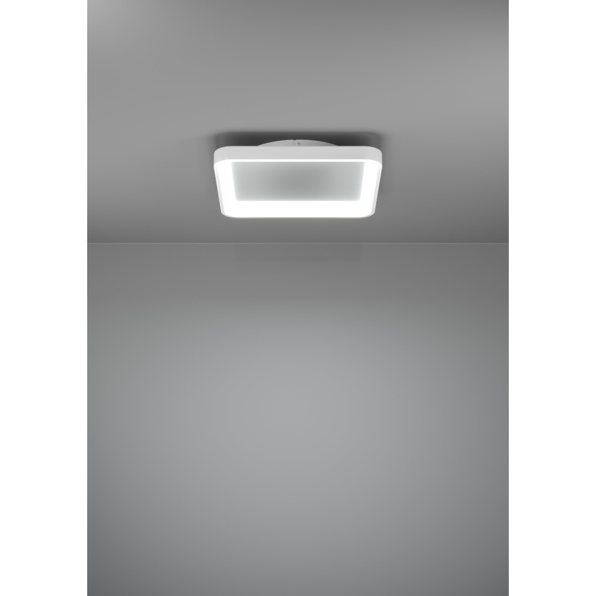 Eglo - Iluminação de teto LED com regulação LORETELLO LED/12W/230V branco + comando
