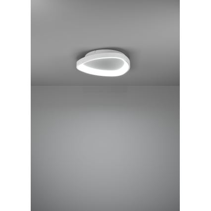 Eglo - Iluminação de teto LED com regulação LED/12W/230V 2700-6500K branco + comando