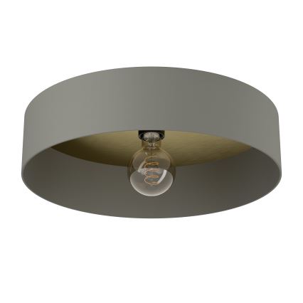Eglo - Iluminação de teto 1xE27/40W/230V cinzento