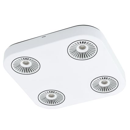 Eglo 94178 - Foco LED MONTALE 4xLED/5,4W/230V