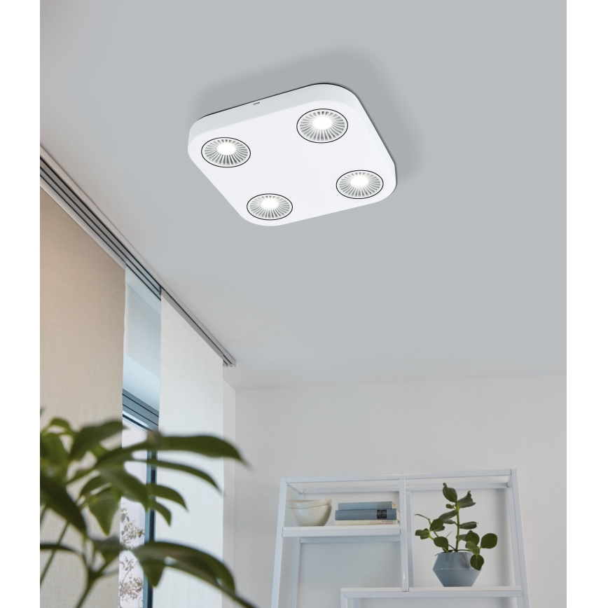 Eglo 94178 - Foco LED MONTALE 4xLED/5,4W/230V