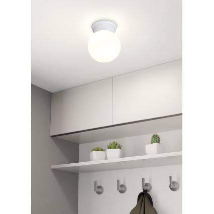 Eglo - Luz de teto 1xE27/28W/230V