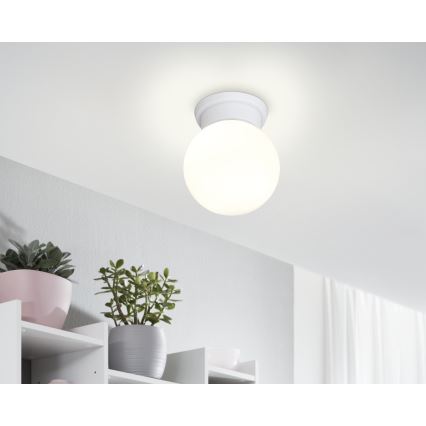 Eglo - Luz de teto 1xE27/28W/230V