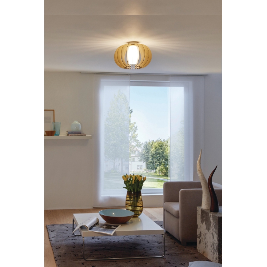 Eglo - Luz de teto 1 1xE27/60W/230V