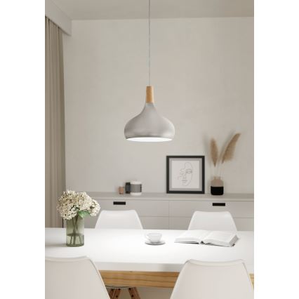Eglo - Iluminação suspensa 1xE27/60W/230V d. 28 cm prateado