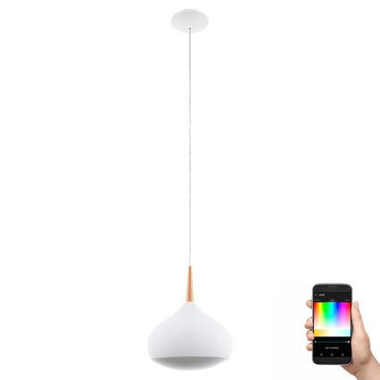 Eglo 97087 - LED RGBW Regulação Iluminação suspensa COMBA-C 1xLED/18W/230V