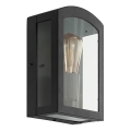 Eglo 97478 - Luz de parede de exterior PARETTA 1xE27/60W/230V preto antigo IP44
