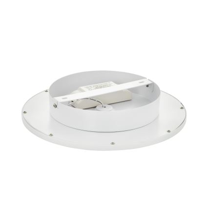 Eglo - Luz de teto fosca LED 1xLED/17W/230V