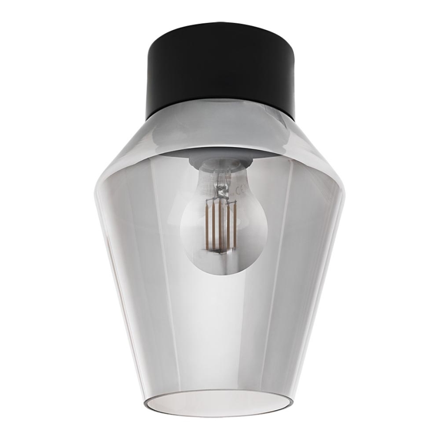 Eglo 97634 - Luz de teto VERELLI 1xE27/60W/230V