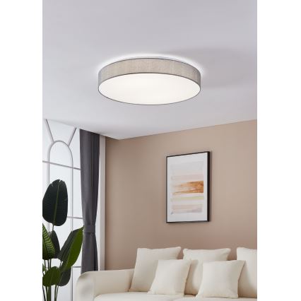 Eglo - Luz de teto fosca LED LED/60W/230V