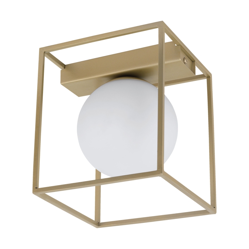 Eglo - Candelabro integrado 1xE14/40W/230V