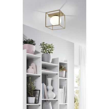 Eglo - Candelabro integrado 1xE14/40W/230V