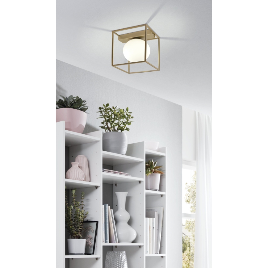 Eglo - Candelabro integrado 1xE14/40W/230V
