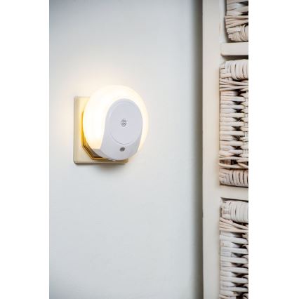 Eglo - Iluminação noturna LED com sensor 2xLED/0,4W/230V 3000K