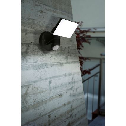Eglo - Luz de parede LED de exterior com sensor LED/15W/230V IP44