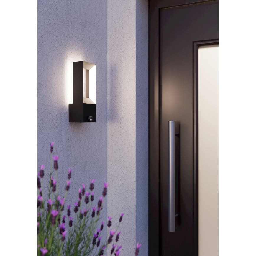 Eglo - Iluminação exterior LED com sensor 2xLED/5W/230V IP44