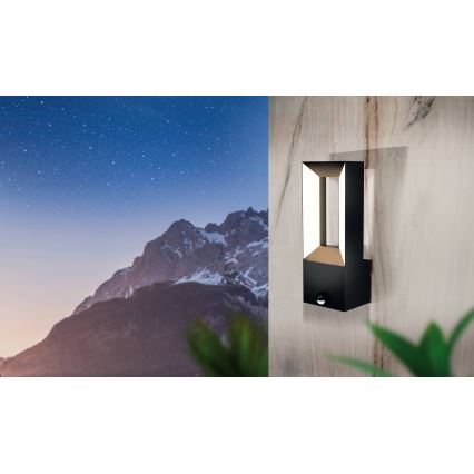 Eglo - Iluminação exterior LED com sensor 2xLED/5W/230V IP44