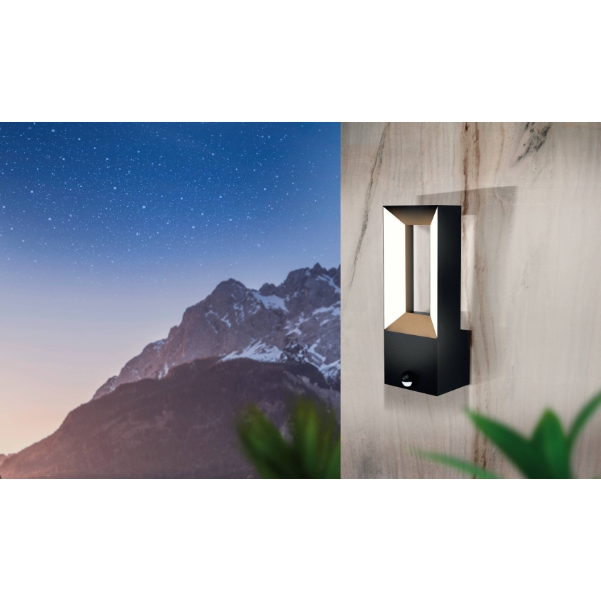 Eglo - Iluminação exterior LED com sensor 2xLED/5W/230V IP44