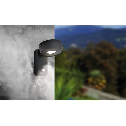 Eglo - Luz de parede exterior com sensor LED LED/6W/230V IP44