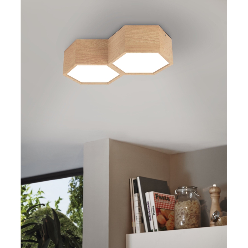 Eglo - Iluminação de teto 2xE27/9W/230V