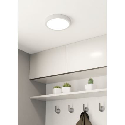 Eglo - Luz de teto fosca LED LED/16,5W/230V