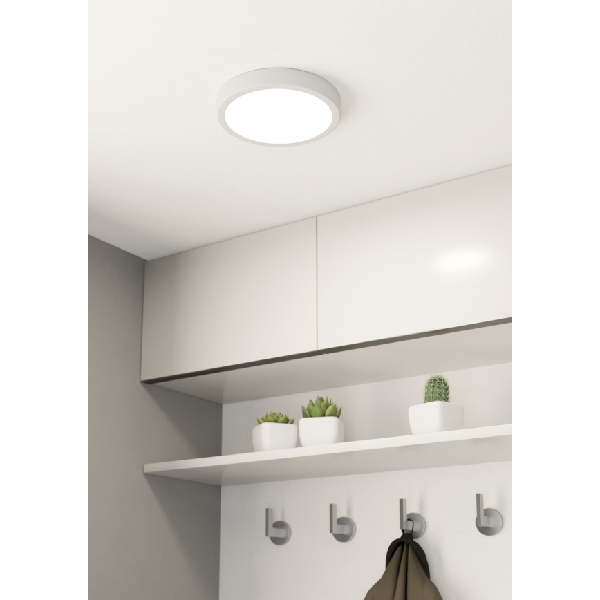 Eglo - Luz de teto fosca LED LED/16,5W/230V