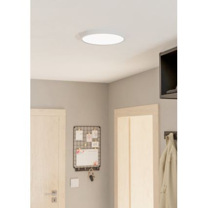 Eglo - Luz de teto fosca LED LED/20W/230V