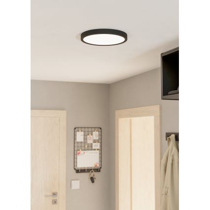 Eglo - Iluminação de teto LED com regulação LED/20W/230V